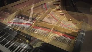 Yamaha C3 61 Grand Piano Satin Ebony (2690085)