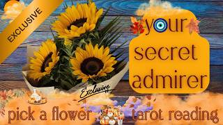 Pile 4: The Sunflower Bouquet (Member Exclusive) | Warning ⚠️🧿