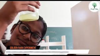 Visual Chemistry: Gaseous Reactions and the Golden Rain Phenomenon!