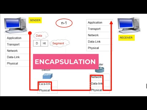 Networking#2:TCP/IP and OSI Model Explained|Open System Interconnection|Encapsulation Process(suITA)