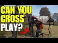 Can You Crossplay DayZ?