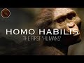 Homo habilis the first humans  prehistoric humans documentary