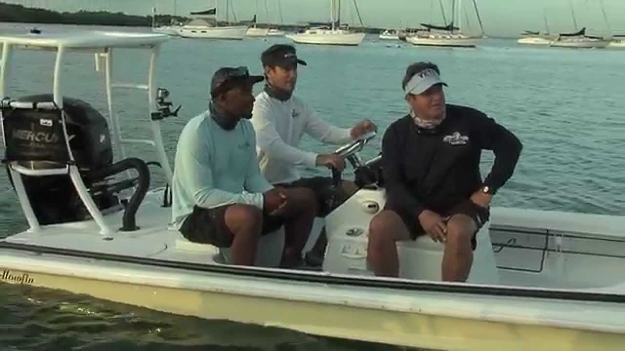 shark fishing flats and bays shark fishing flats and bays