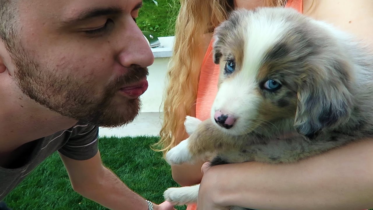MEETING SPEEDY'S PUPPY! | Vacation Vlog