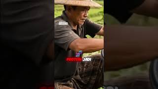 Tutorial Bikin Pupuk Nitrogen Cair Sendiri  Anti Ribet &amp; Hemat #agribisnis #faktaunik #agrikultur