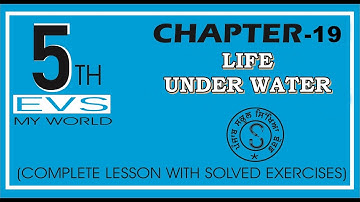 CLASS 5 EVS LESSON 19 LIFE UNDER WATER | ਪਾਣੀ ਅੰਦਰਲੀ ਦੁਨੀਆ COMPLETE LESSON WITH SOLVED EXERCISE
