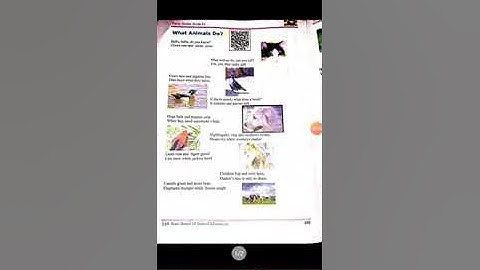 What Animals do (Class 4th English)