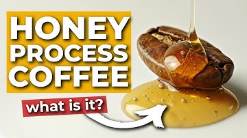 Why Honey Processed Coffee is ACTUALLY Worth It