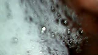 Stomach Full Of Water