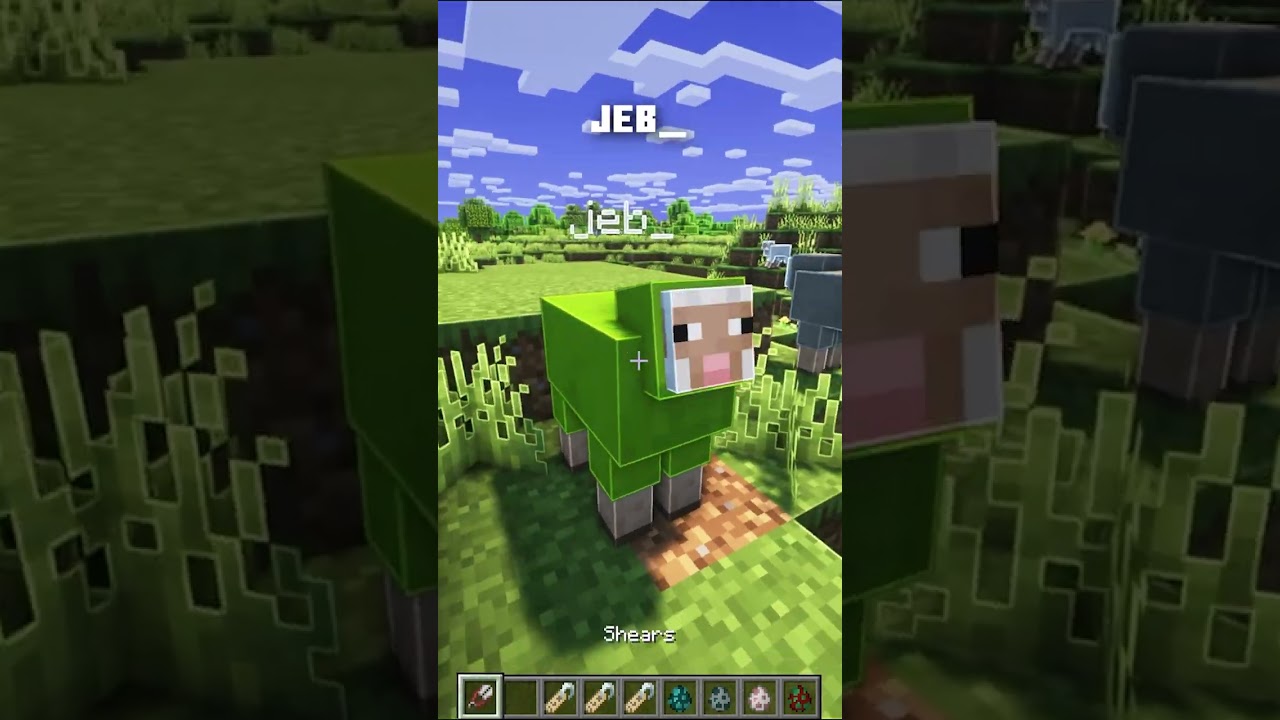 ALLE MINECRAFT NAMETAG SECRETS! 