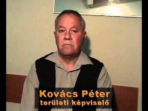 Beltex Kft.  Kovács Péter Területi Képviselő