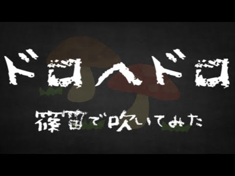 【ドロヘドロ】Welcome トゥ 混沌【篠笛で吹いてみた】