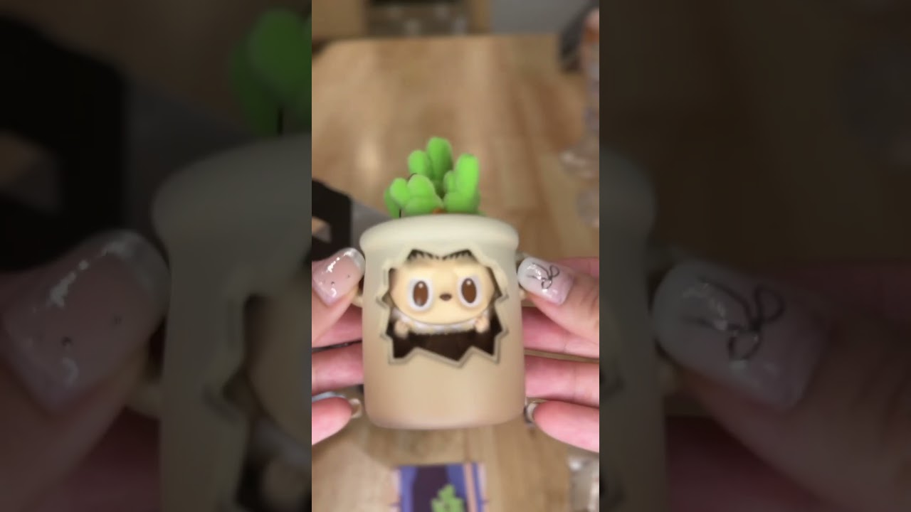 Almost hidden labubu blind box