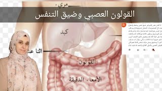 اعراض غريبه للقولون العصبي ضيق تنفس وسرعة ضربات القلب تعرف علي السبب ( إعاده نشر)