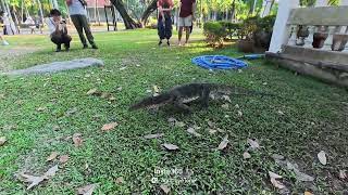 20260102 A Very Late Afternoon Strode In Lumphini Park Bangkok