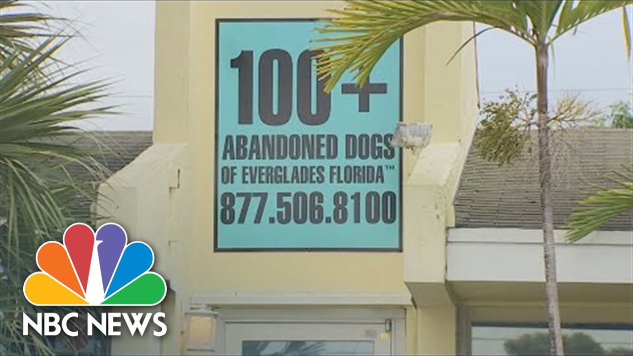 One Dead, One Wounded In Mauling At Florida Dog Rescue Shelter