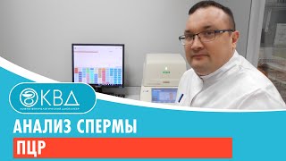 Анализ спермы ПЦР