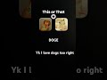 I like dogs and cats