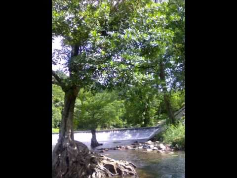(Chan mee tea tor )ฉันมีเเต่ธอ จำเริญ wmv