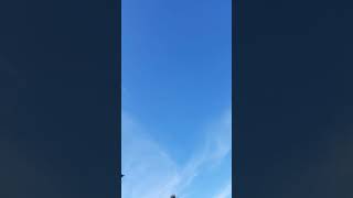greensleeves, a cappella cover in full 7 minutes, by jay 20140307