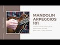 Mandolin Arpeggios 101