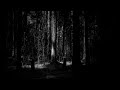 Clan of xymox  a forest