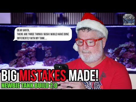 3 Things I Wish I Did Differently (6 Month Reef Tank Update) - Newbie Tank Build 2.0