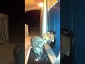 Come inside, it's freezing out there. #cat #rescue #dog #heartwarming