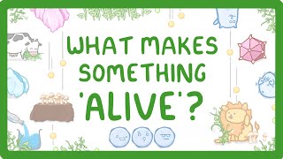 GCSE Biology -  Characteristics of Living Things (Organisms) #3