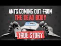 ANTS COMING OUT FROM THE DEAD BODY | TRUE STORY
