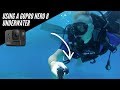 Using a GoPro Hero 8 Underwater