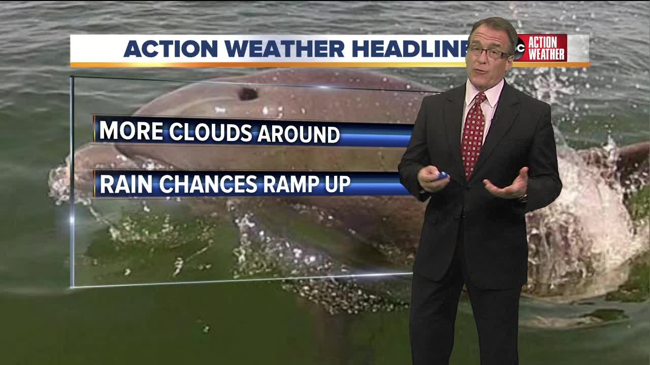 ABC Action News Weather Forecast YouTube