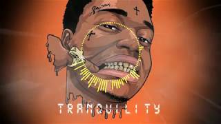 Kodak Black Type Beat  - "Tranquility" (Prod. By We$t Money)