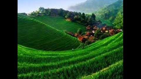 سورة الماعون للشيخ فضل حسن عباس