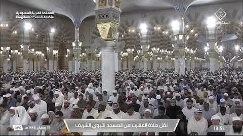 صلاة المغرب للشيخ د. #علي_الحذيفي الأربعاء 19 رمضان 1446هـ خواتيم سورة الدخان 40-59
