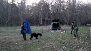 PC250051.AVI