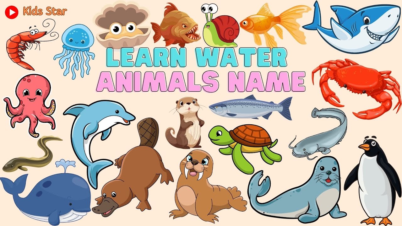 WATER ANIMALS NAME | BELAJAR NAMA HEWAN YANG HIDUP DI AIR | BELAJAR NAMA-NAMA BINATANG