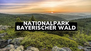 Nationalpark Bayerischer Wald