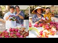 my mom grew sweet dragonfruits in her exotic garden 먹방 a calm afternoon with my family 🌿