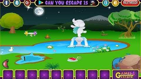 G4E Jungle Forest Owl Escape Walkthrough [Games4Escape]