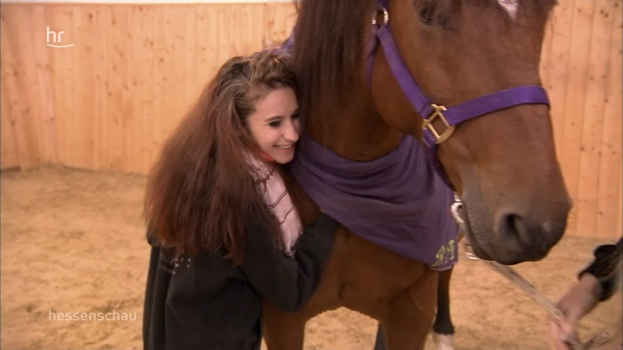 Tiertherapie nominiert für Gründerpreis  hessenschau  YouTube