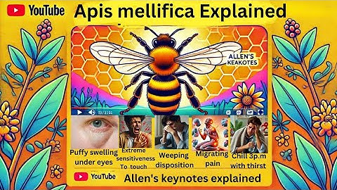 Apis Mellifica || Materia Medica || Allen