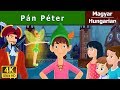 Peter Pan in Hungarian | Esti mese | Tündérmese | Mese | Magyar Tündérmesék