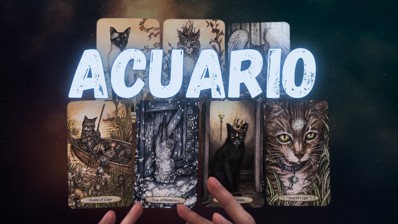 ACUARIO UNA MUJER CUENTA ALGO MUY GRAVE DE TI ️🔴 URGENTE 🚨💯 HOROSCOPO # ...