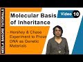 Molecular Basis of Inheritance - Hershey & Chase Experiment to prove DNA as genetic material