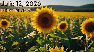 Decimoquinto Domingo del Tiempo Ordinario- 12 de Julio 2026