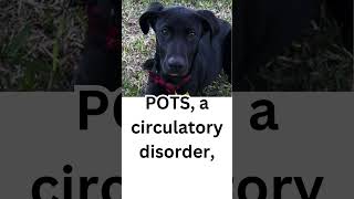 Ryders Life-Saving Alert with (POTS)?