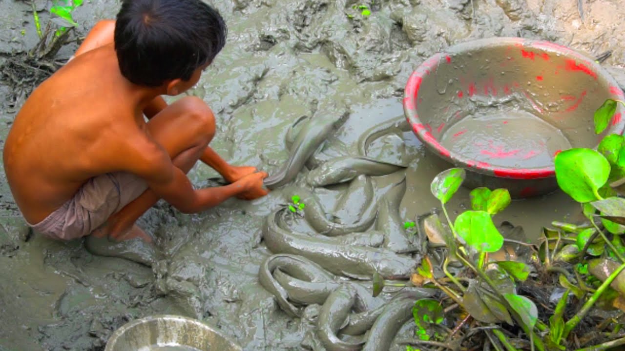 Best Hand Fishing | Amazing Boy Catching Big Catfish In Mud Water ...