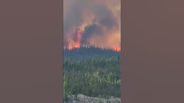 Wildfire Smoke From Canada Triggers US Air Quality Alerts