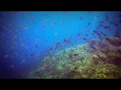 Jack Point - Gili Trawangan Island, Lombok INDONESIA by LOMBOK DIVE